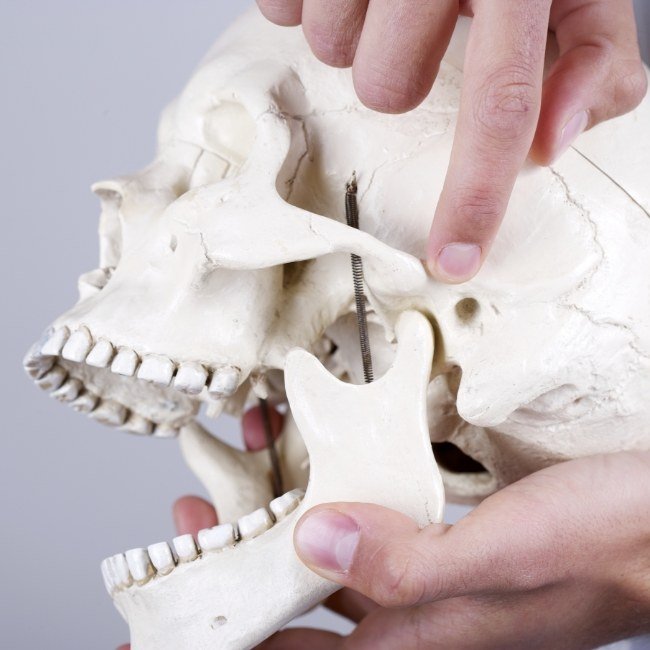 Oral surgeon pointing to skull and jaw bone model to explain maxillofacial bone injury
