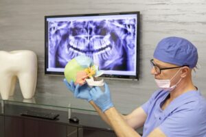 Oral surgeon holding model of human skull 